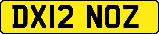 DX12NOZ