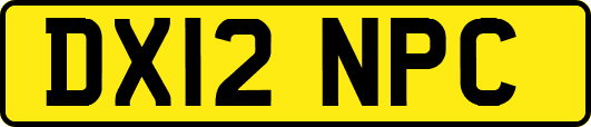 DX12NPC