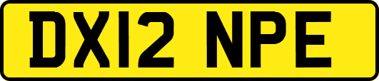 DX12NPE