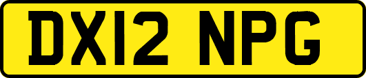 DX12NPG