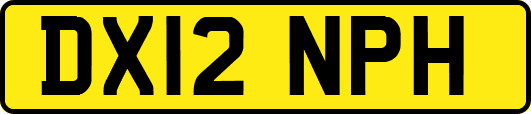 DX12NPH