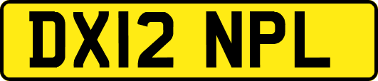 DX12NPL