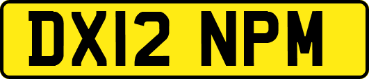 DX12NPM