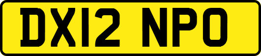 DX12NPO