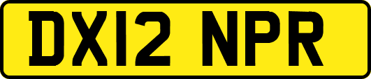 DX12NPR