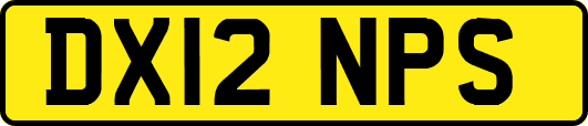 DX12NPS