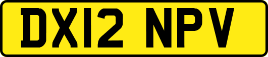 DX12NPV