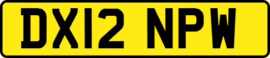 DX12NPW