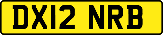 DX12NRB