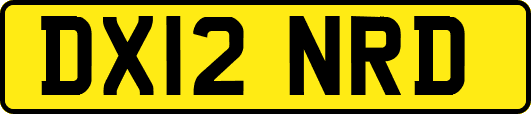 DX12NRD