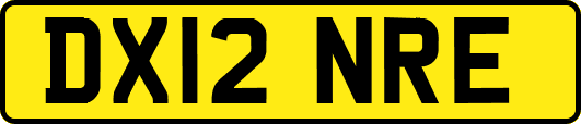 DX12NRE