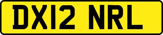 DX12NRL