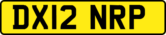 DX12NRP