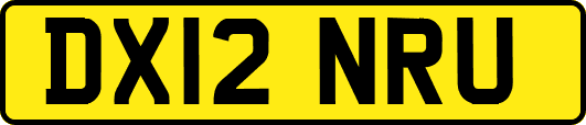 DX12NRU