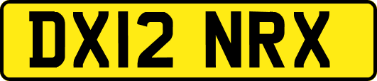 DX12NRX
