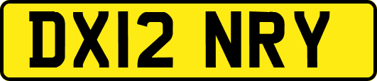 DX12NRY