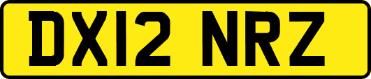 DX12NRZ