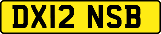 DX12NSB