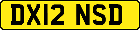DX12NSD