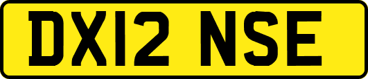 DX12NSE