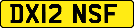 DX12NSF
