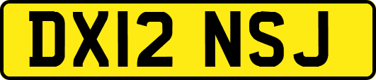 DX12NSJ
