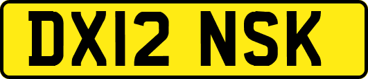 DX12NSK