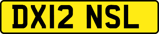 DX12NSL