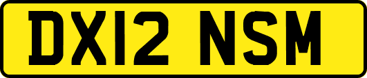 DX12NSM