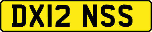 DX12NSS