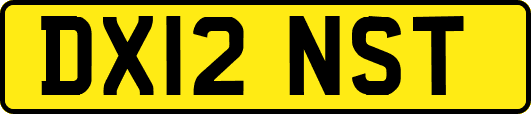 DX12NST