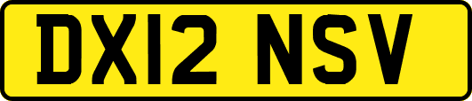 DX12NSV