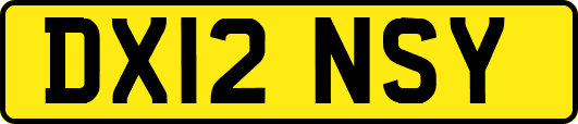 DX12NSY