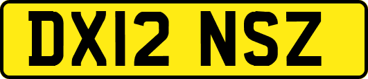 DX12NSZ