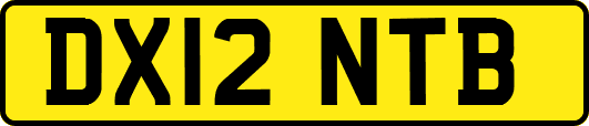 DX12NTB