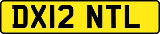 DX12NTL