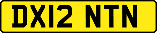 DX12NTN