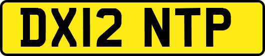 DX12NTP