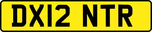 DX12NTR