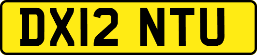 DX12NTU