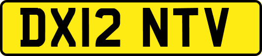 DX12NTV