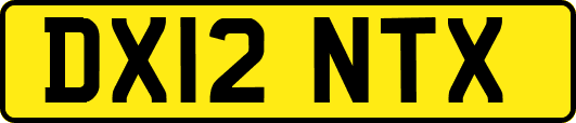 DX12NTX