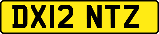 DX12NTZ