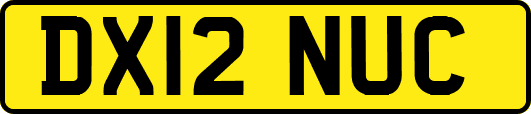 DX12NUC