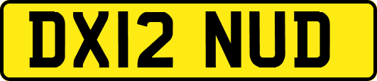DX12NUD