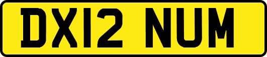 DX12NUM