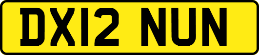 DX12NUN