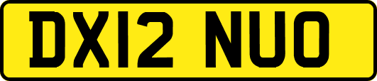 DX12NUO