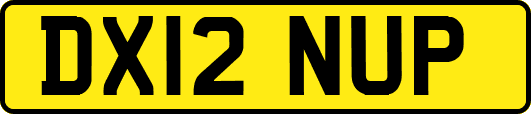 DX12NUP