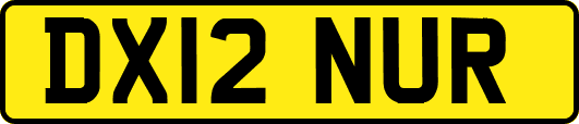 DX12NUR